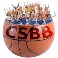 logo bask
