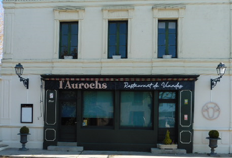 aurochs