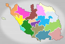 dpt election